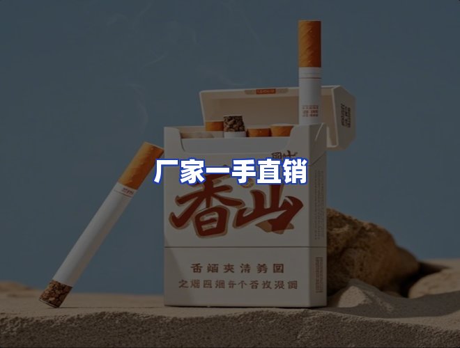 专业团队